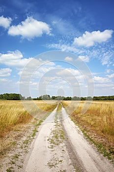 Dirt road cutting through a meadow on a sunny day with blue sky