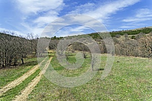 A dirt road in the mountains. Crimea. photo