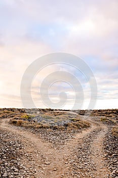 Dirt road desert