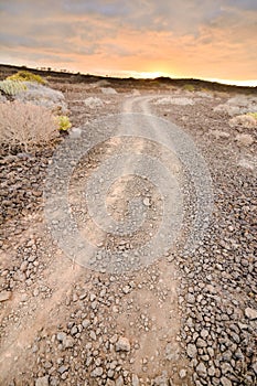 Dirt road desert