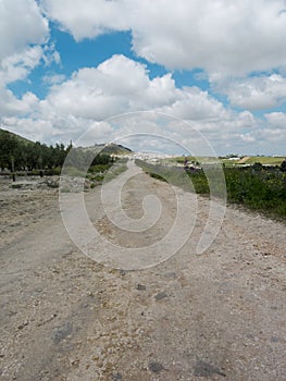 Dirt road desert