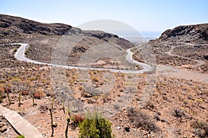 Dirt road desert