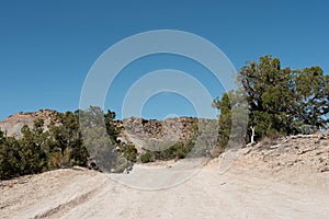 Dirt Road in the desert