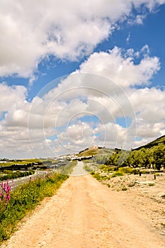 Dirt road desert