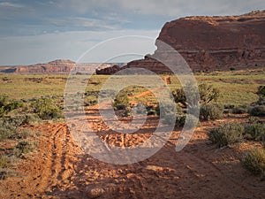 Dirt road in desert