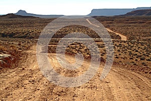 Dirt road in the desert