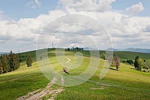 Dirt road and driving farmer with horse cart under blue sky. Rural landscape