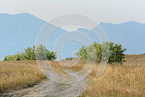 Dirt road through dry autumn prairie grass