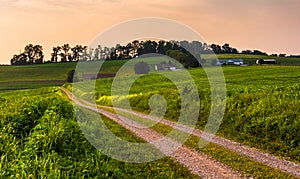 Dirt road and farm fields in rural Southern York County, Pennsylvania at sunset.