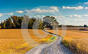 Dirt road through farm fields in rural York County, Pennsylvania