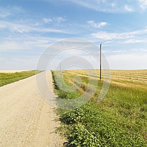 Dirt road through farmland