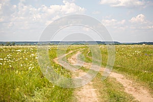 Dirt road through a field in the countryside. Picturesque watercolor landscape, delicate background.