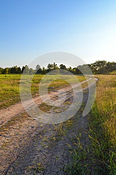 Dirt road in the field. Evening rural landscape. Russia