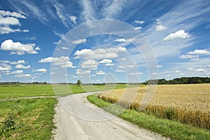 A dirt road through a field with grain and green meadow, horizon and white clouds on a blue sky