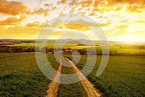 Dirt road in field with green grass at sunset.