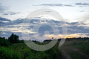 Dirt road through the field late in the evening