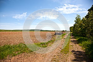 Dirt road in field