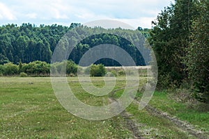 Dirt road in a field near a forest