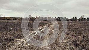 Dirt road in field