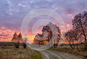 Dirt road among fields and forests at dawn.