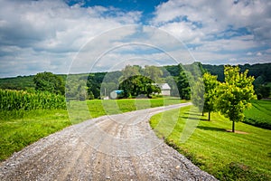 Dirt road and fields in rural Carroll County, Maryland.