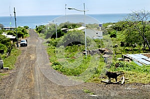 Dirt Road on Floreana Island