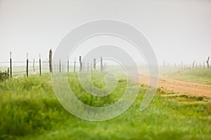 Dirt road in the fog