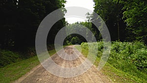 Dirt road in the forest. The camera moves forward. On the sides there is a green dense forest.