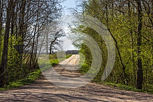 Dirt road through forest and field.