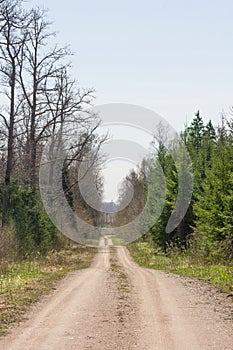 Dirt road through forest and field.