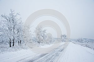 Dirt road in the forest in winter