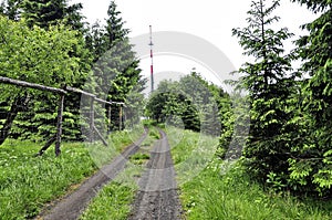 Dirt road with grass in the middle