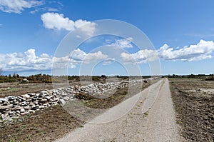 Dirt road in the great plain grassland Alvaret at the swedish island Oland