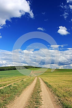 Dirt road in a field under a blue sky photo