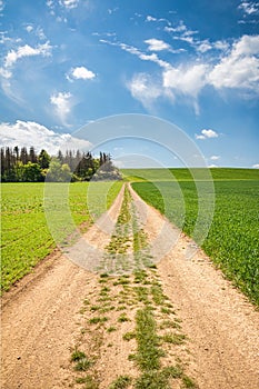 Dirt road between green fields and blue sky