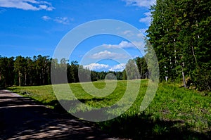 Dirt road among green fields in forest on a clear, sunny day. Horizontal photo, agriculture concept