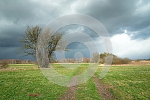 Dirt road and green meadow, bush tree and rainy clouds on sky