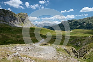 Dirt Road On Green Meadow In Montenegro photo