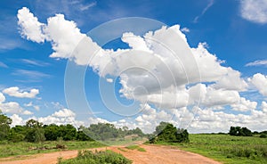 Dirt road heading into the wild for background or backgrop nature concept