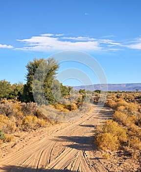 Dirt road through highland savanna. Off road dirt track path in Highland safari, on dry rough terrain in summertime. A