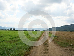 Dirt road on hill and meadow with blue sky and white cloud in background