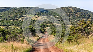 Dirt Road Hills Wildlife Landscape