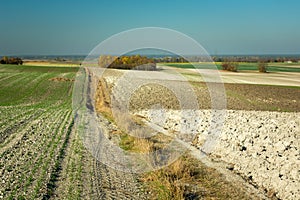 Dirt road through hilly farmland, Staw, Poland