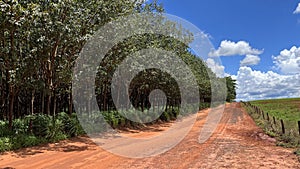 Dirt road in the hinterland photo