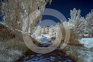 Dirt road in Infrared