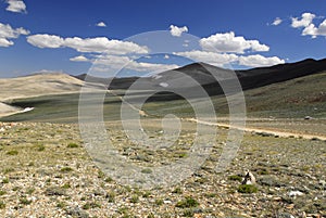 Dirt road in Inyo Mountains in California