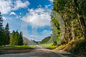 Dirt road in Koscieliska Valley in Tatra Mountains, Poland