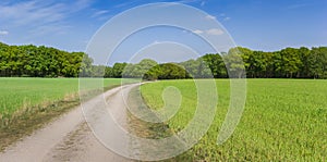 Dirt road in the landscape of Overijssel