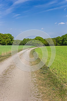Dirt road in the landscape of Overijssel