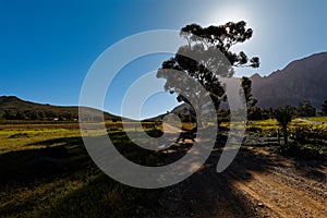 A dirt road leading past trees up to huge, hazy mountains near Worcester, South Africa